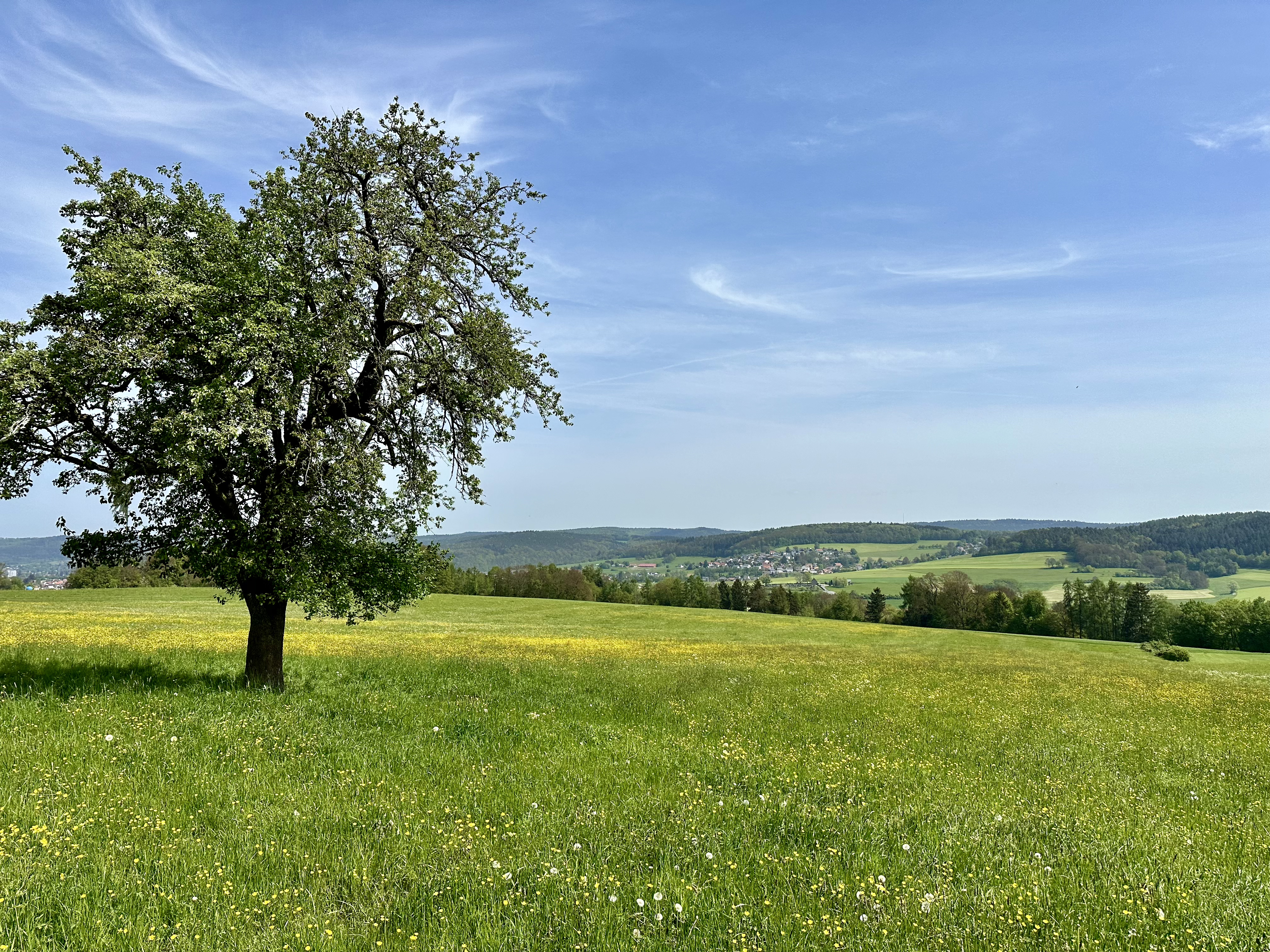 Wandern im Odenwald
