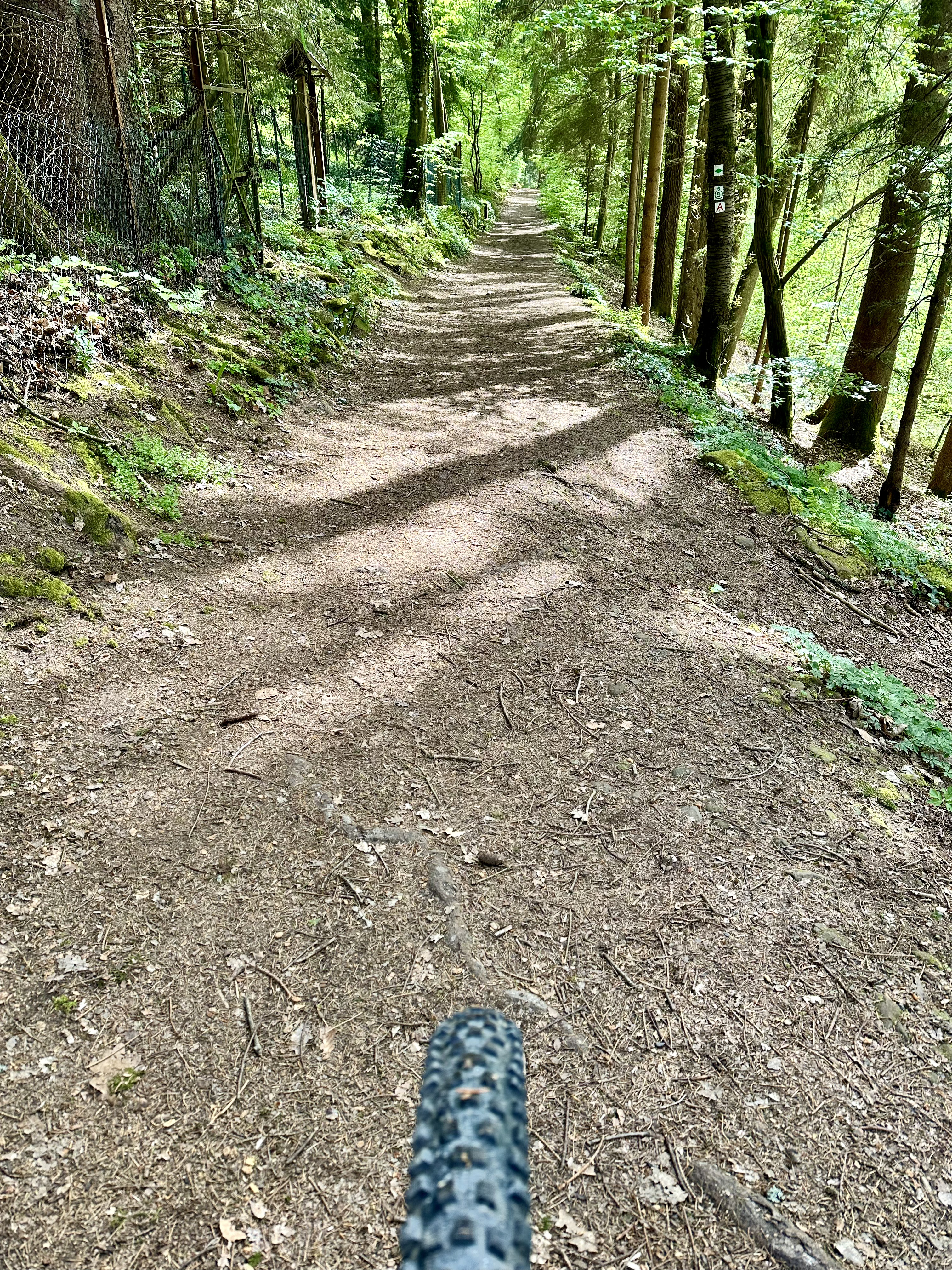 Die schönsten Mountainbike-Touren im Odenwald – Trails, Wälder und jede Menge Höhenmeter